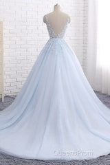 Ball Gown Chapel Train V Neck Sleeveless Backless Appliques Evening Prom Dress