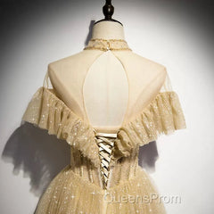 A Line Tulle Long Evening Prom Dress