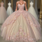 Ball Gown Sweet 16 Dress Princess Quinceanera Dress Lace Appliques Sweet 15 Party Evening Prom Ball Gowns