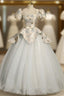 Blue Tulle Short Sleeve Quinceanera Dress