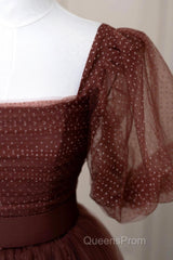 Brown Tulle Floor Length Evening Prom Dress, A-Line Short Sleeve Evening Party Dress