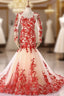 Champagne Mermaid Tulle Res Appliques Long Sleeve Evening Dress