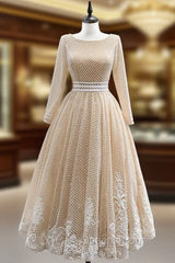 Champagne Tulle Long Sleeve Backless Appliques Evening Prom Dress