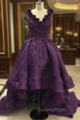 Elegant Purple Deep V Neck Appliqued Floral Short Front Long Back High Low Evening Prom Dress