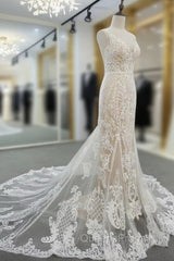 Lace V Neck Mermaid Wedding Dress