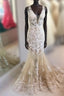 Mermaid V Neck Champagne Lace Evening Prom Dress, Mermaid Champagne Formal Dress