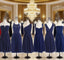 Short Navy Blue Chiffon Mismatch Maid Of Honor Girls Group In Knee Length Simple Cheap Evening Prom Dress