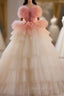 Romantic Pink Tulle Ball Gown Ombre Tiers Evening Prom Dress
