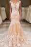 Round Neck Mermaid Champagne Lace Long Evening Prom Dress, Mermaid Champagne Formal Dress, Champagne Lace Evening Dress