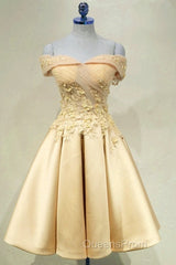 Short Off Shoulder Evening Prom Homecoming Dress Lace Embroidery