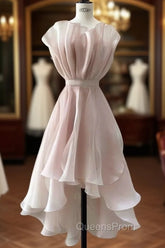Vintage A-Line Organza Pink Homecoming Dress 18Th Birthday Outfits