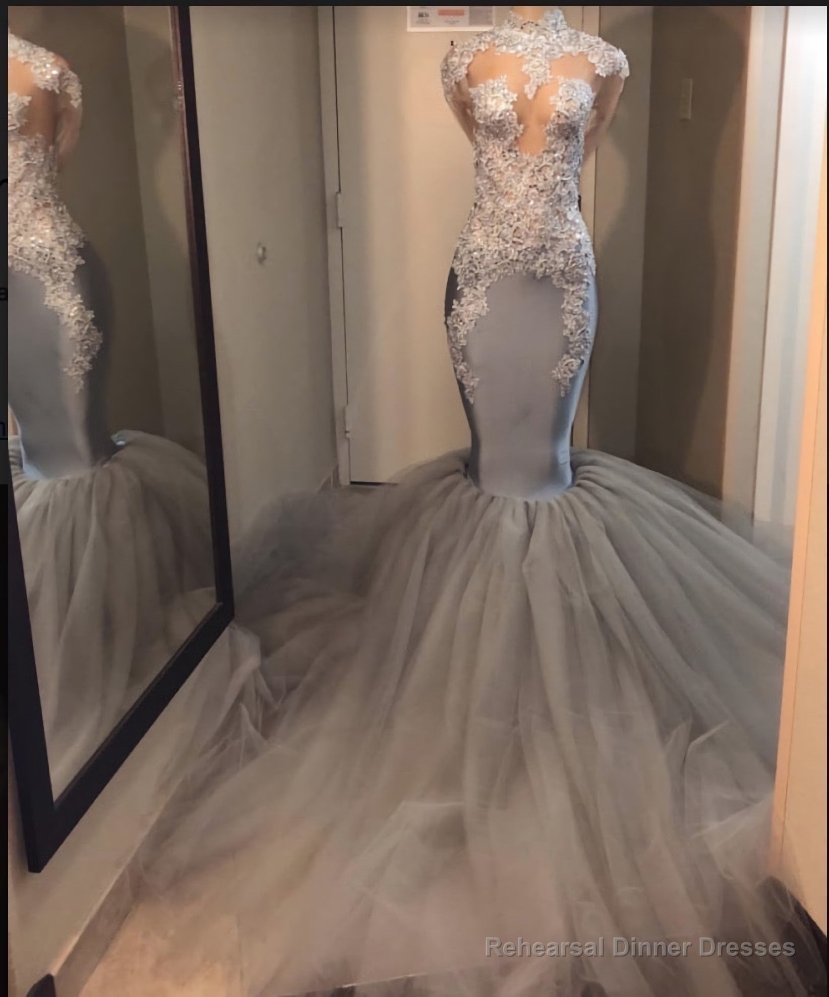 2025 Silver Long Sleeve Mermaid/Trumpet Lace and Tulle Prom Dresses