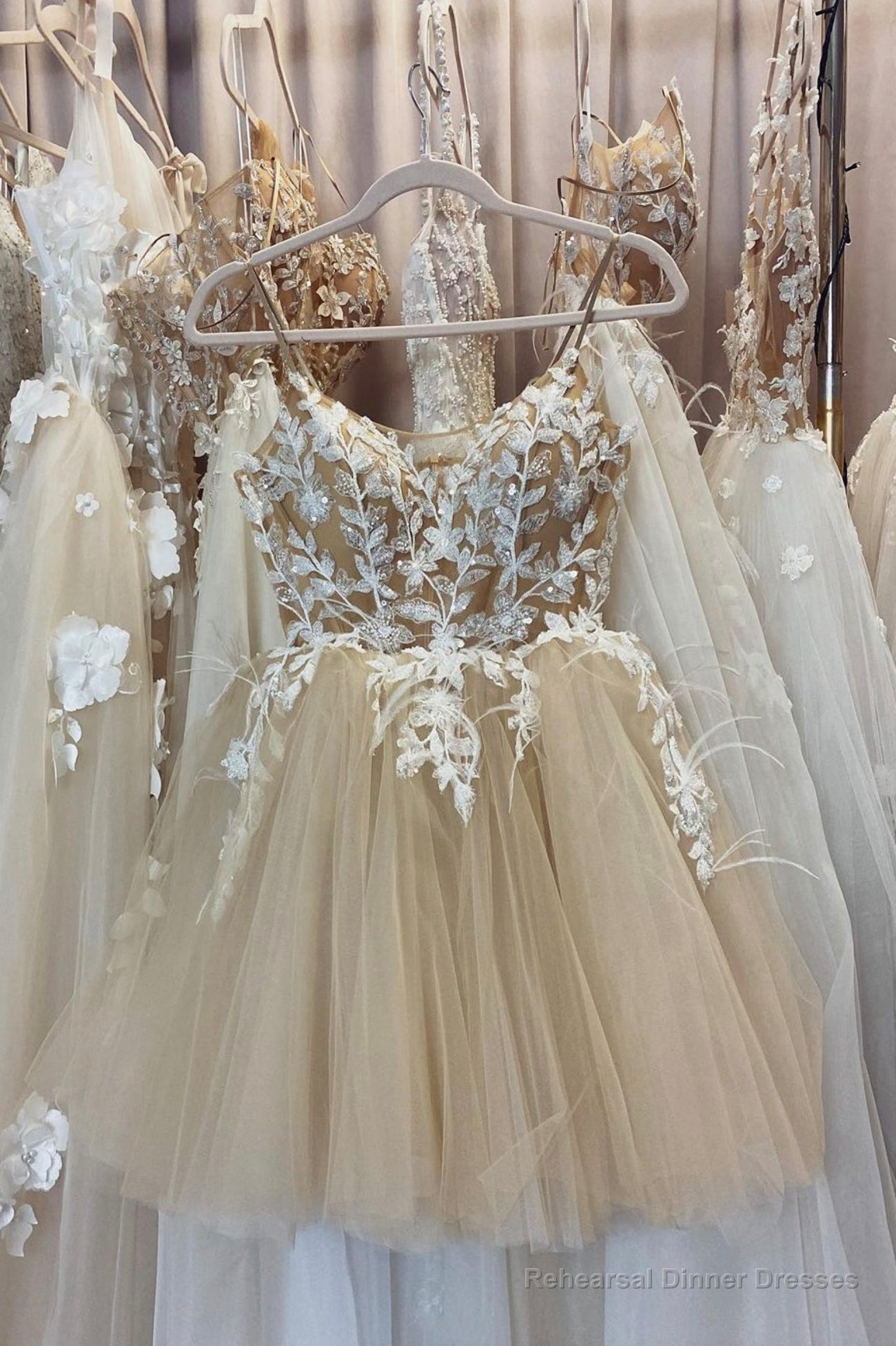 Champagne Spaghetti Lace Short Prom Dresses, A-Line Party Dresses Secondary image