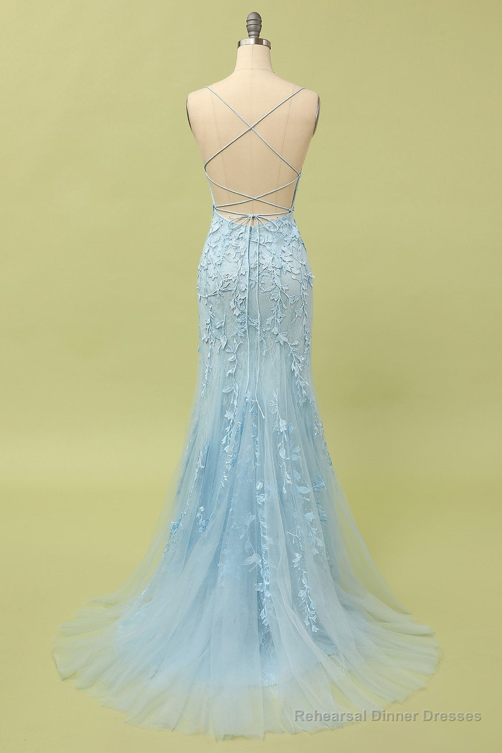 Coral Backless Long Prom Dress with Appliques Secondary image