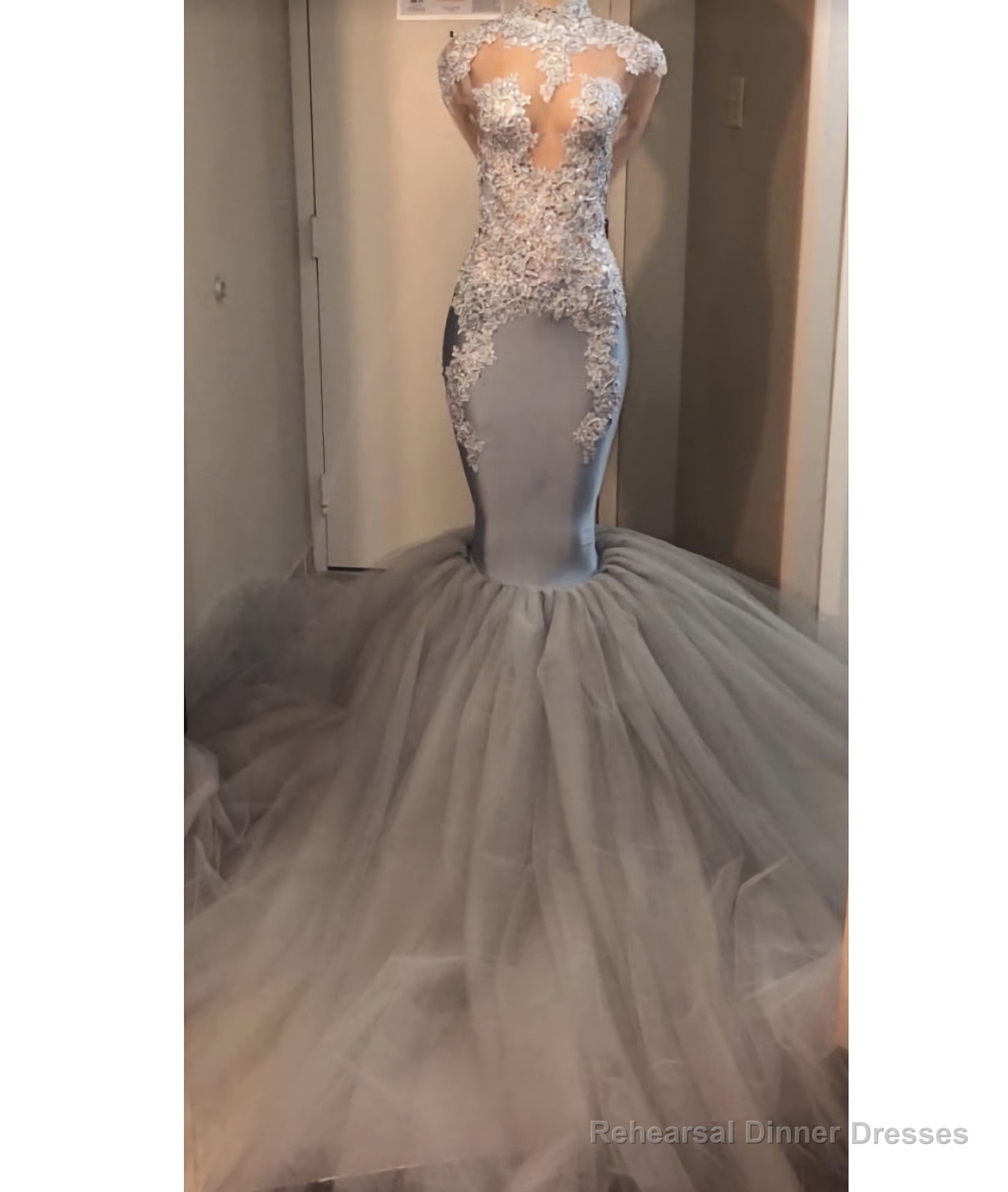 2025 Silver Long Sleeve Mermaid/Trumpet Lace and Tulle Prom Dresses Main image