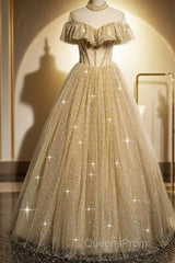 A Line Tulle Long Evening Prom Dress