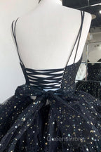 Black A-Line Tulle High Low Evening Prom Dress, V-Neck Evening Party Dress