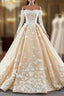Champagne Ball Gown Tulle Off the Shoulder Appliques Long Sleeve Evening Prom Dress