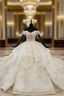 Champagne Ball Gown Tulle Sequins Off the Shoulder Appliques Beading Luxury Wedding Dress