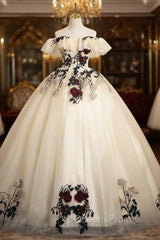 Champagne Tulle Embroidery Appliques Quinceanera Dress