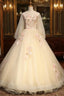 Champagne Tulle V-neck Long Sleeve Appliques Beading Quinceanera Dress