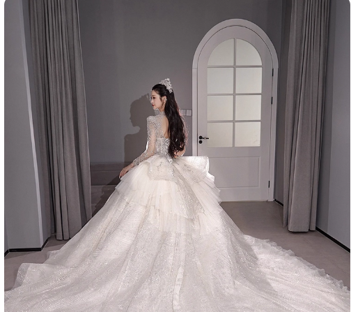 Chic A-Line Long Wedding Dress Tulle White Bridal Gowns Long Sleeves Bridal Dress