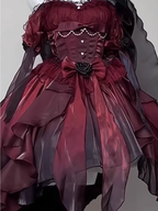 Chic High Low Halter Burgundy Organza Party Dress Birthday Outfits