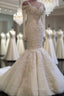 Classic Mermaid Long Sleeves Bridal Gowns Lace Wedding Dress with Sleeves