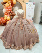 Coffee Beaded Quinceanera Dress Sexy Spaghetti Neck Appliqued 3D Floral Sweet 16 Princess Ball Gown Pageant Gowns Vestido