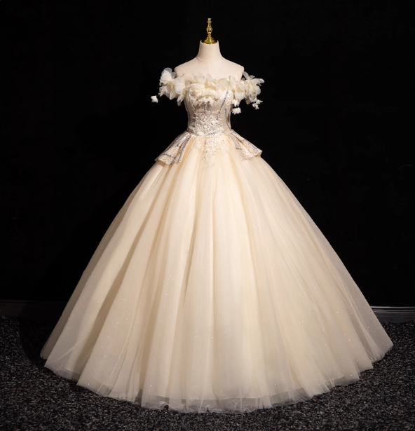 Elegant Champagne One-Shoulder 3D Floral Tulle Long Ball Gown Prom Dress Sweet 16 Dress Main image