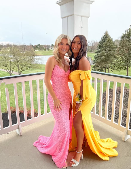 Elegant Mermaid Sequin Pink Long Classy Prom Dress Classy Dress