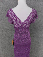 Elegant Purple V-Neck Lace Long Classy Prom Dress