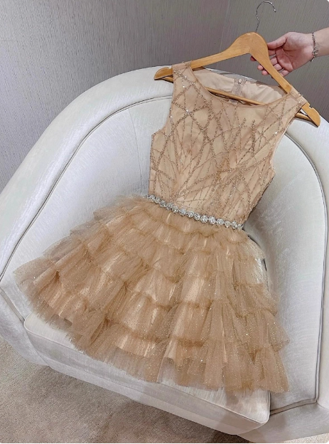 Elegant Round Neck Champagne Tulle Cake Birthday Short Skirt Homecoming Dress Secondary image