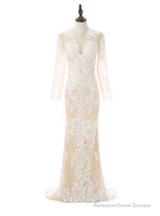 Formal Celebrity Dresses Mermaid Deep V-neck Long Sleeves Slit Sexy Long Evening Dresses