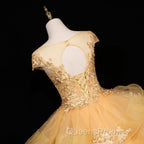 Gorgeous Champagne Ball Gown Sweet 16 Gown with Lace, Flowers Lace Evening Dress