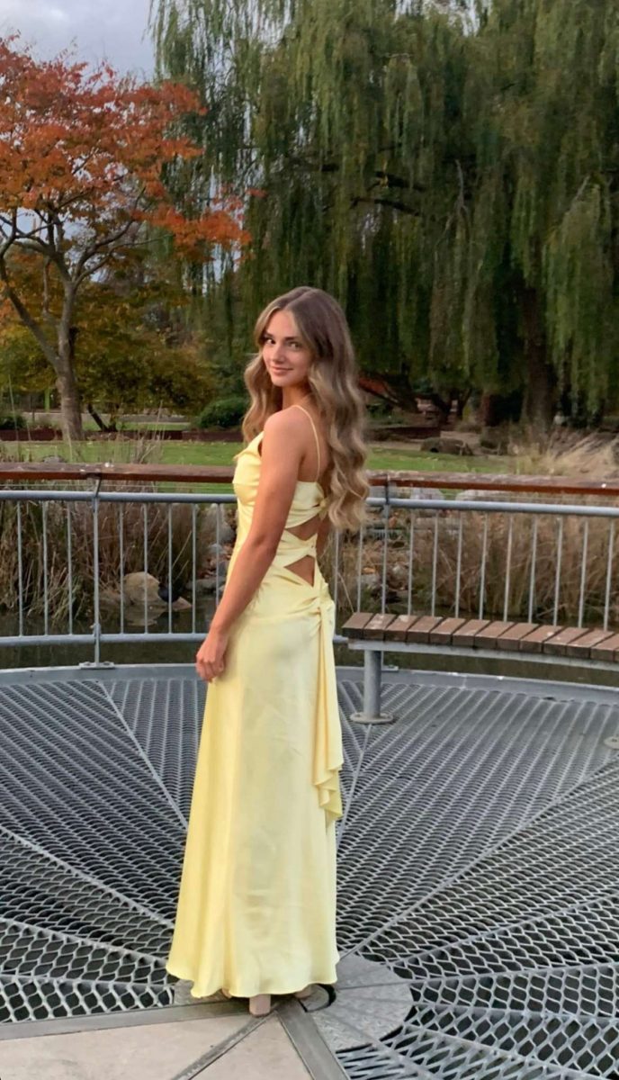Yellow Fashion Elegant Satin Backless Long Spaghetti Straps Classy Evening Gown Classy Prom Dress