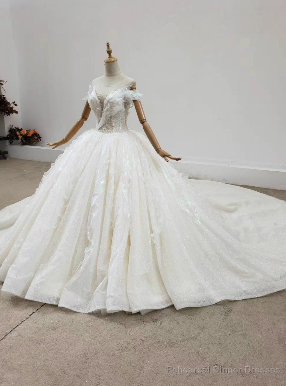 Looking For Cute And Stylish Luxury Champagne Tulle Backless Beading Wedding Dress With Train Main image