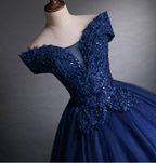 Luxurious Court Navy Blue One-Shoulder Embroidered Sequin Tulle Ball Gown Prom Dress Sweet 16 Dress