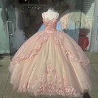 Pink Sparkly Quinceanera Classy Prom Dress Lace Flower Sweet 16 Tulle Party Ball Gown