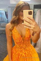 Princess A Line Deep V Neck Blush Long Prom Dress with Appliques