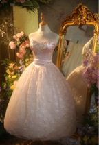 Princess Light Pink Strapless Lace Ball Gown Prom Dress Sweet 16 Dress