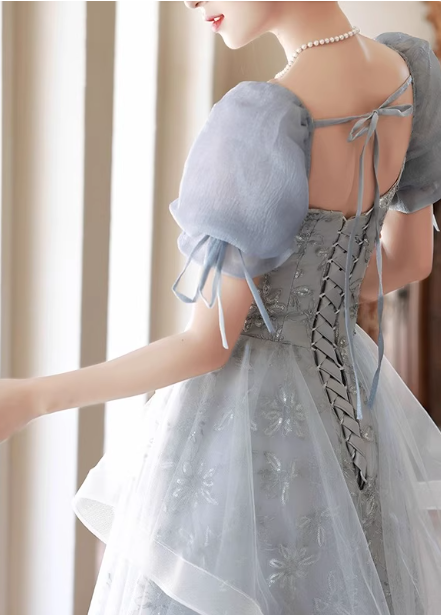 Princess Slate Blue A-Line Puff Sleeve Embroidered Tulle Long Classy Prom Dress