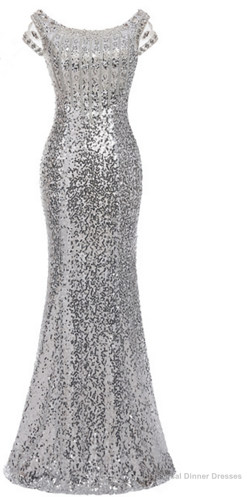 The long mermaids with a silver Evening Dresses Main image