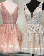 Short V-neck Tulle Evening Prom Homecoming Dress Lace Embroidery