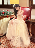 Sweet Cream Apricot A-Line Spaghetti Strap Lace Tulle Long Classy Prom Dress