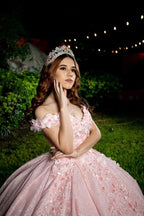 Tulle Princess Off Shoulder Long Classy Prom Dress, Long Strapless Pink Flower Appliqu¨¦S Classy Evening Dress