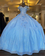 Tulle Princess Off Shoulder Long Classy Prom Dress, Long Strapless Pink Flower Appliqu¨¦S Classy Evening Dress