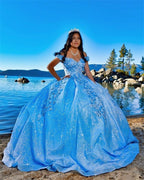 Tulle Princess Off Shoulder Long Classy Prom Dress, Long Strapless Pink Flower Appliqu¨¦S Classy Evening Dress