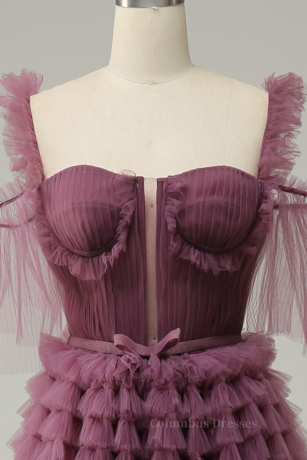 Slip Dress, Mauve Off-the-Shoulder Lace-Up Tulle Multi-Layers Long Prom Dress Main image