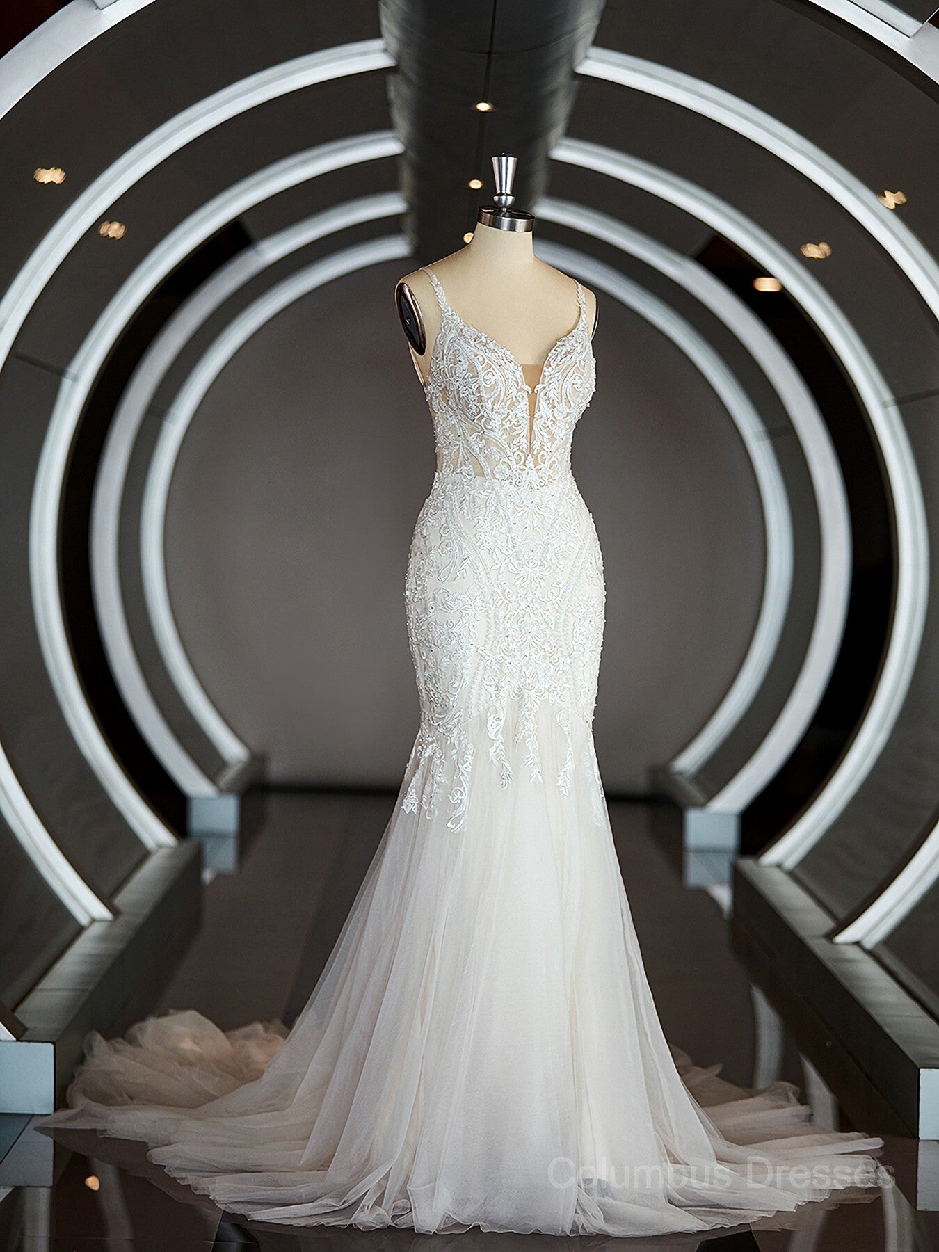 Wedding Dresses Boutique, Trumpet/Mermaid V-neck Cathedral Train Tulle Wedding Dresses with Appliques Lace Main image